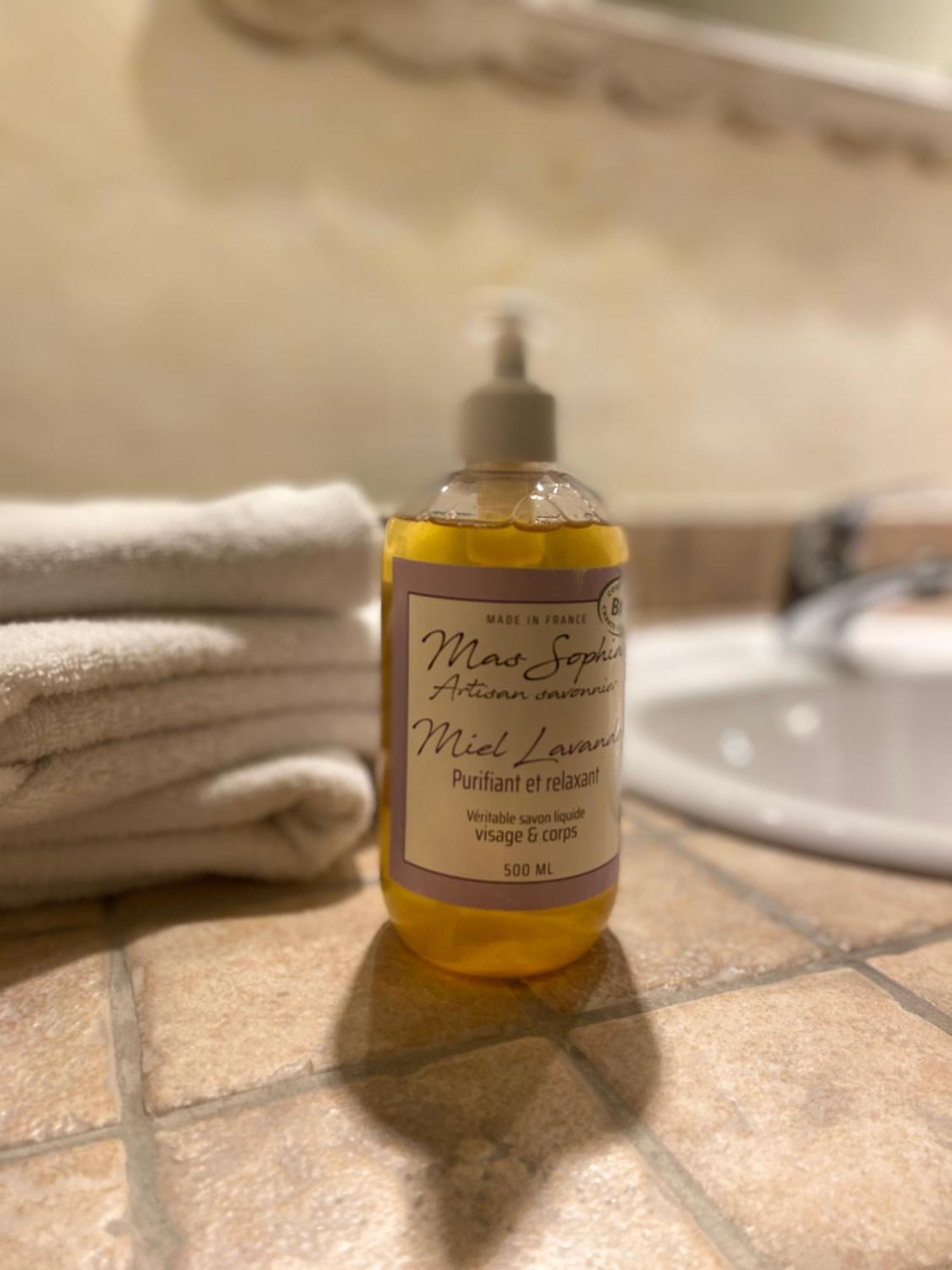Logis Hotel Medieval, Montelimar Nord ロシュモール エクステリア 写真