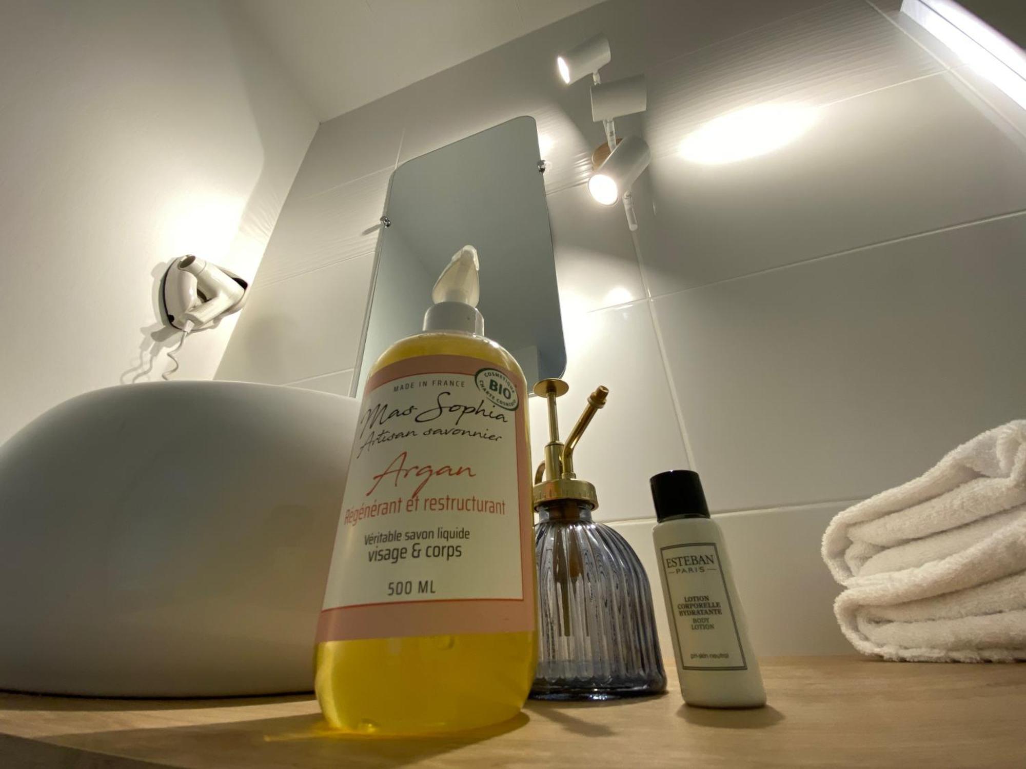 Logis Hotel Medieval, Montelimar Nord ロシュモール エクステリア 写真